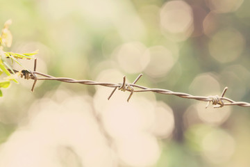 closeup barbed wire,focus at center,Vintage effect