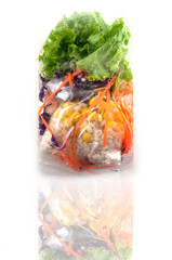 Obraz na płótnie Canvas Vegetable salad pack on white