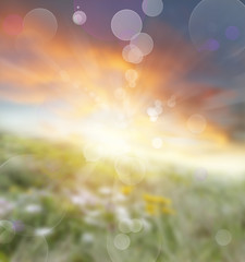 Fototapeta na wymiar Abstract spring summer nature blur sun background