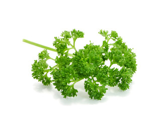 green leaves of parsley isolated on white background