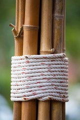 rope and bamboo trunk