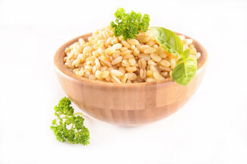 barley grain