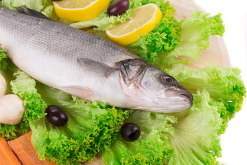 Composition of fresh seabass and vegetables.