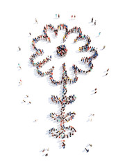 people in the shape of a flower, and ecology.