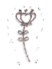 people in the shape of a flower, and ecology.