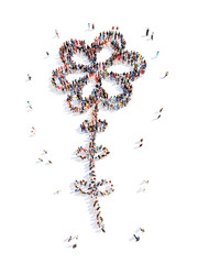 people in the shape of a flower, and ecology.