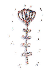 people in the shape of a flower, and ecology.