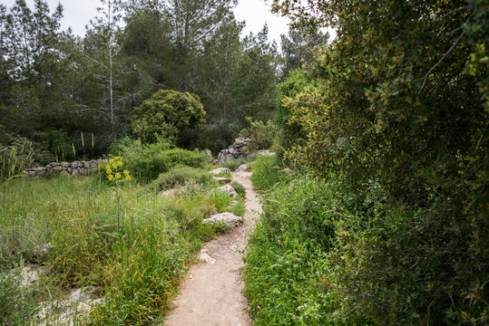 The Wells and Cisterns Trail