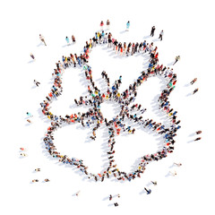 people in the shape of a flower, and ecology.