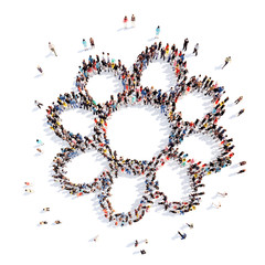 people in the shape of a flower, and ecology.