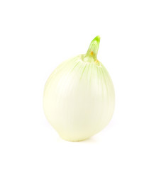 Onion close up.