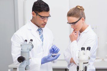 Scientists examining petri dish