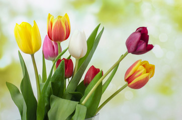 Tulpen mit Herz