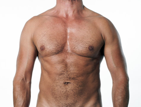 muscular male torso