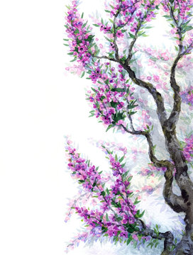 Watercolor spring background. Purple flowers on tree branches