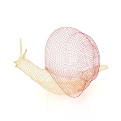 3d fantasy animal, snail on white background