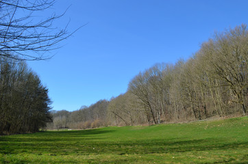 Fototapeta na wymiar Agricultural field lined by forests in Huldenberg