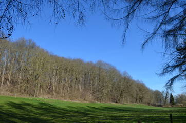 Obraz premium Agricultural field lined by forests in Huldenberg