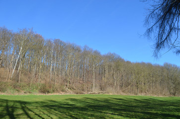 Obraz premium Agricultural field lined by forests in Huldenberg