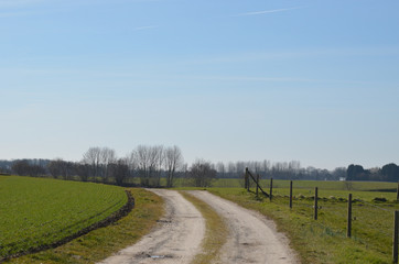 Fototapeta na wymiar Cart track in agricultural area, Huldenberg