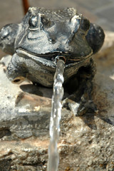 Fountain with brass frog and water jet