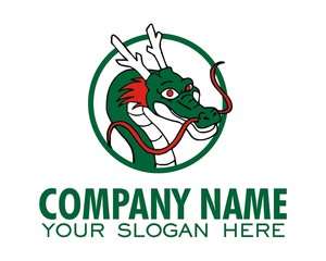 dragon logo image vector