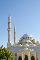 Fototapeta na wymiar Domes and minarets of a mosque, Dubai United Arab Emirates
