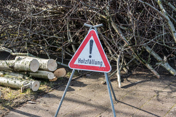 Holzfällarbeiten Holzfällung