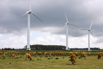 Modern windmill - Stock image