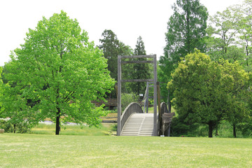 Fototapeta premium 新緑の公園