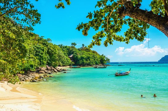 Paradise beach with with golden sand, exotic trees and blue sky
