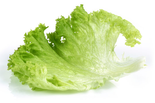 Lettuce