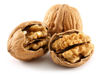 Walnut