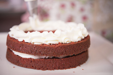 Young woman chef cooking cake in kitchen