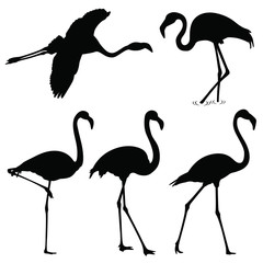 Naklejka premium flamingo silhouettes