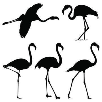 flamingo silhouettes