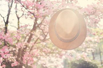 Old straw hat against attached on a plant in garden