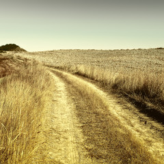 Dirt Road