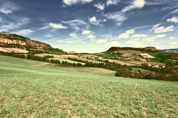 Landscape