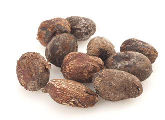 shea nuts on white background, karite seeds