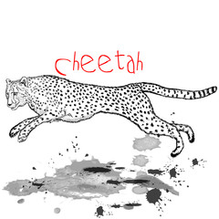 Cheetah animal jump with ink spots