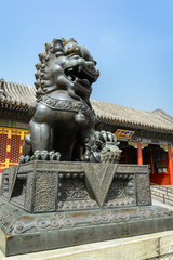 Copper lion in front of an ancient architecture in summer palace