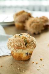Blueberry Muffin