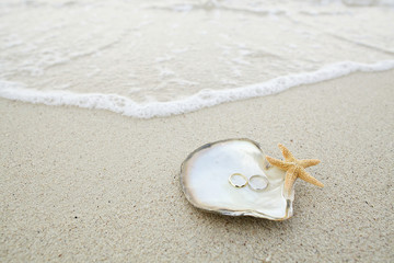 Fototapeta na wymiar wedding ring on the shell by the beach