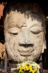 Fototapeta na wymiar buddha statue head