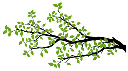 Fototapeta premium Sylwetka gałęzi drzewa, grafika wektorowa
