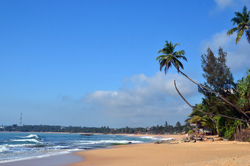 sand beach and blue sky by the sea with palms