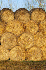 straw bales stacked on the field
