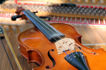 stringed instrument/stringed bowed musical instrument 