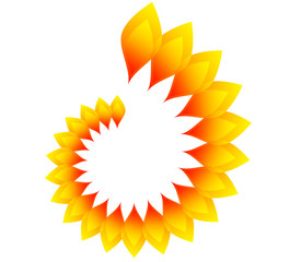 comunità,fuoco, fiammei, petali, fiori, colorati